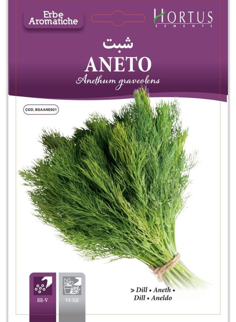 Dill Seeds (Aneto)